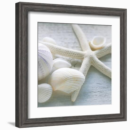 Driftwood Shells III-Bill Philip-Framed Art Print