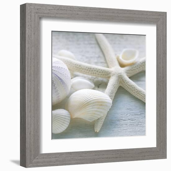 Driftwood Shells III-Bill Philip-Framed Art Print