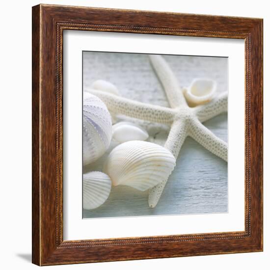 Driftwood Shells III-Bill Philip-Framed Art Print