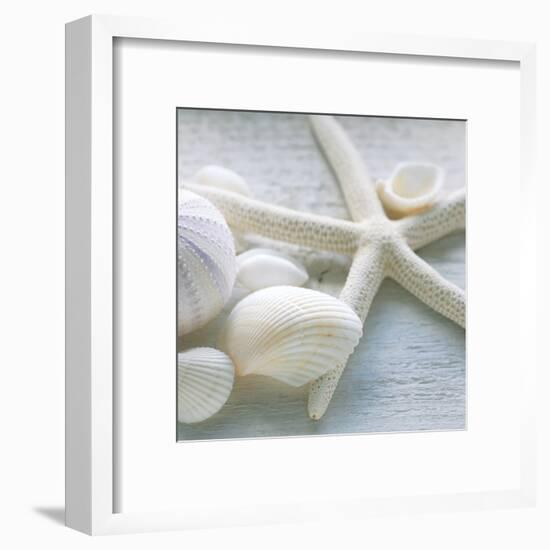 Driftwood Shells III-Bill Philip-Framed Art Print