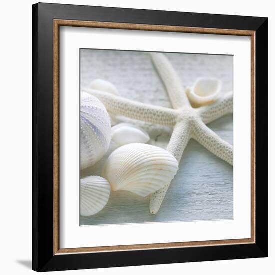 Driftwood Shells III-Bill Philip-Framed Art Print