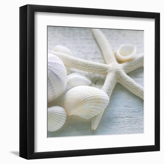 Driftwood Shells III-Bill Philip-Framed Art Print
