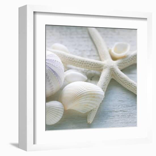 Driftwood Shells III-Bill Philip-Framed Art Print