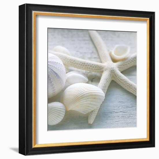 Driftwood Shells III-Bill Philip-Framed Art Print