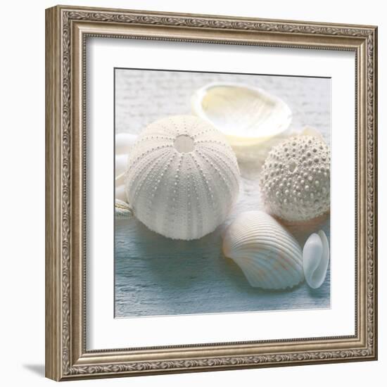 Driftwood Shells IV-Bill Philip-Framed Art Print