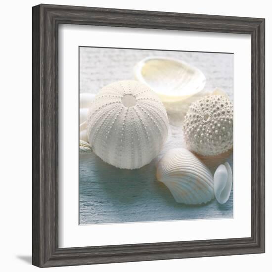 Driftwood Shells IV-Bill Philip-Framed Art Print