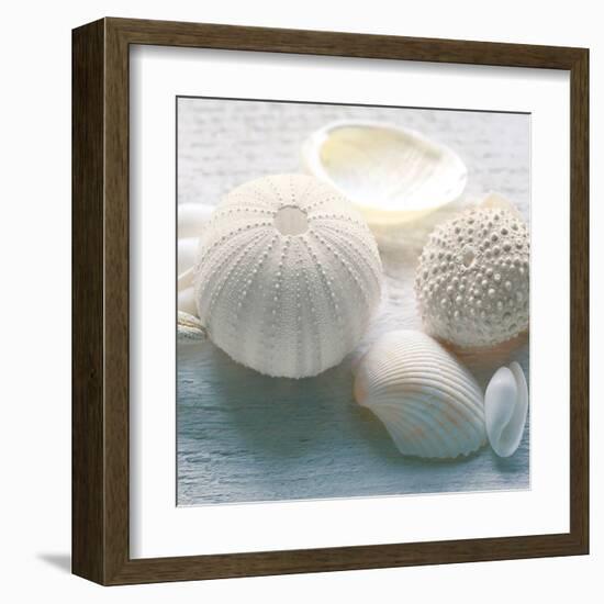 Driftwood Shells IV-Bill Philip-Framed Art Print