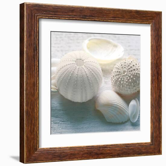 Driftwood Shells IV-Bill Philip-Framed Art Print