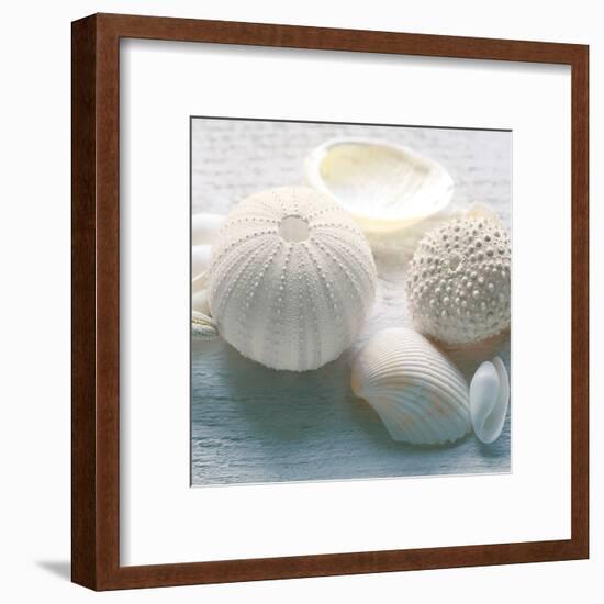 Driftwood Shells IV-Bill Philip-Framed Art Print