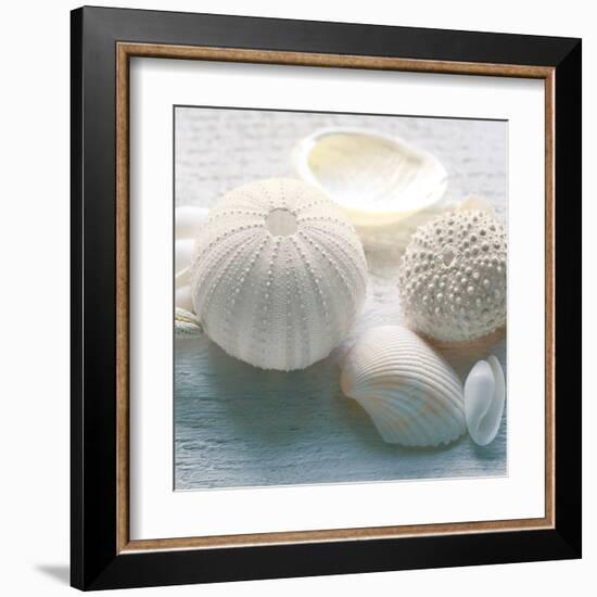 Driftwood Shells IV-Bill Philip-Framed Art Print