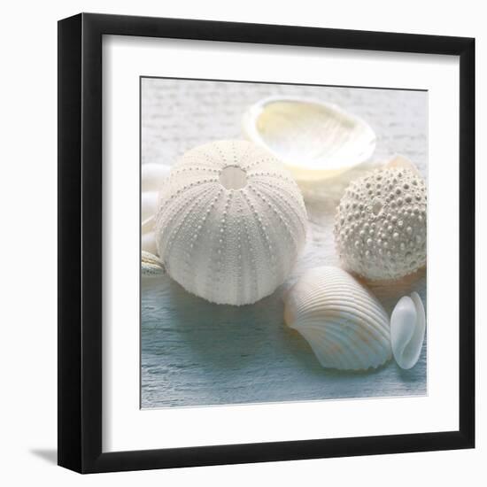 Driftwood Shells IV-Bill Philip-Framed Art Print