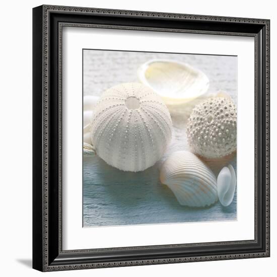 Driftwood Shells IV-Bill Philip-Framed Art Print