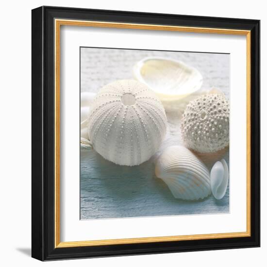 Driftwood Shells IV-Bill Philip-Framed Art Print