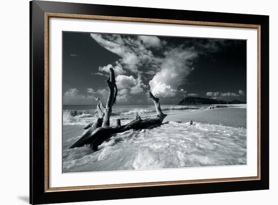 Driftwood Shore-Mike Toy-Framed Giclee Print