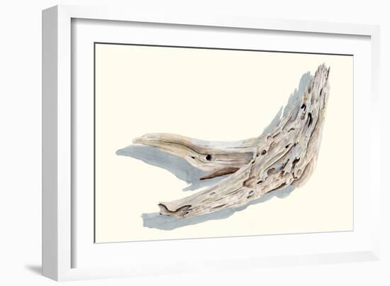 Driftwood Study III-Michael Willett-Framed Art Print