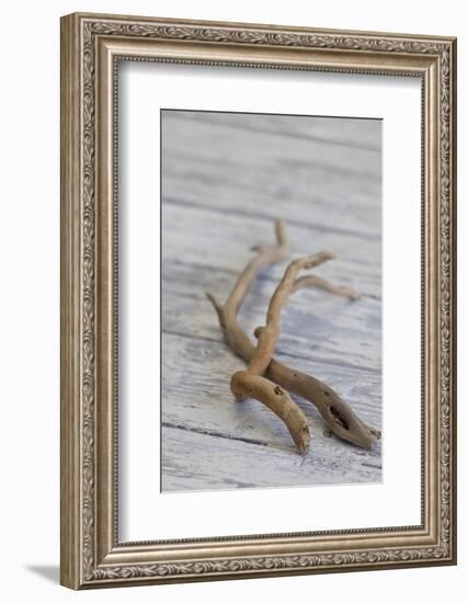 Driftwood, Wood, Branches, Still Life-Andrea Haase-Framed Photographic Print