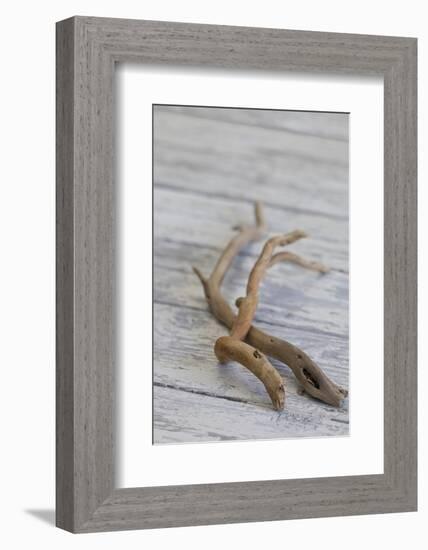 Driftwood, Wood, Branches, Still Life-Andrea Haase-Framed Photographic Print