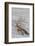 Driftwood, Wood, Branches, Still Life-Andrea Haase-Framed Photographic Print