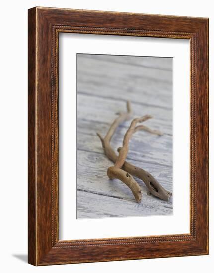 Driftwood, Wood, Branches, Still Life-Andrea Haase-Framed Photographic Print