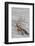 Driftwood, Wood, Branches, Still Life-Andrea Haase-Framed Photographic Print