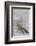 Driftwood, Wood, Branches, Still Life-Andrea Haase-Framed Photographic Print