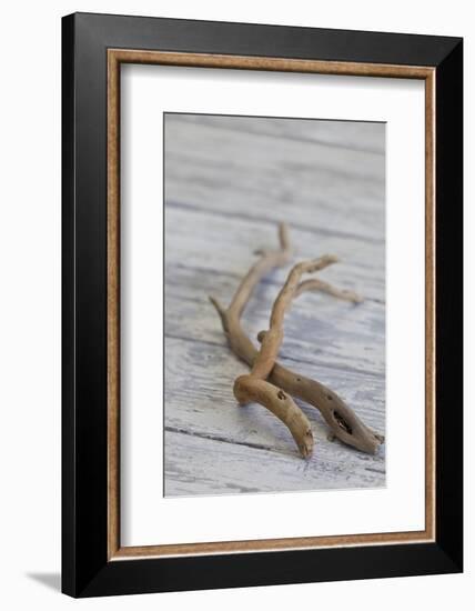 Driftwood, Wood, Branches, Still Life-Andrea Haase-Framed Photographic Print