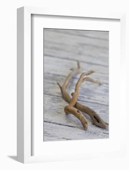 Driftwood, Wood, Branches, Still Life-Andrea Haase-Framed Photographic Print