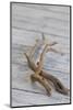 Driftwood, Wood, Branches, Still Life-Andrea Haase-Mounted Photographic Print