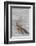 Driftwood, Wood, Branches, Still Life-Andrea Haase-Framed Photographic Print