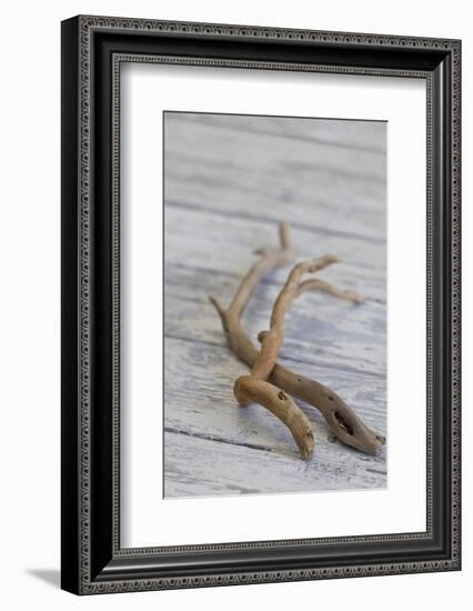 Driftwood, Wood, Branches, Still Life-Andrea Haase-Framed Photographic Print