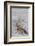 Driftwood, Wood, Branches, Still Life-Andrea Haase-Framed Photographic Print