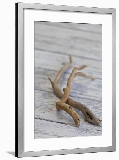 Driftwood, Wood, Branches, Still Life-Andrea Haase-Framed Photographic Print