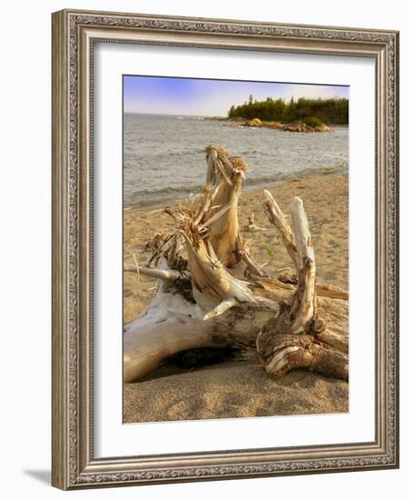 Driftwood-Tony Craddock-Framed Photographic Print