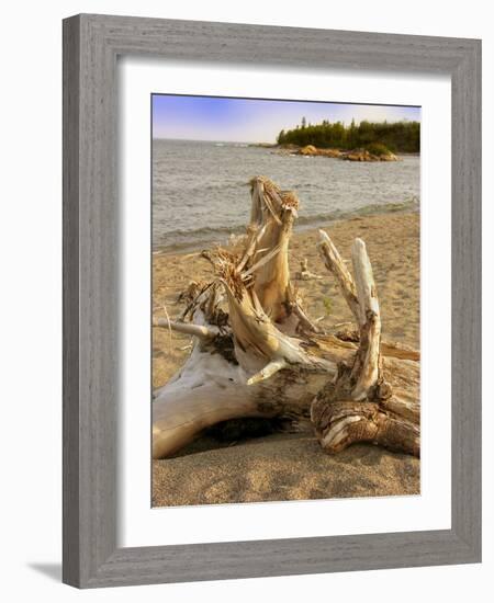 Driftwood-Tony Craddock-Framed Photographic Print