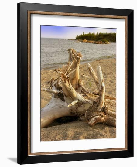 Driftwood-Tony Craddock-Framed Photographic Print