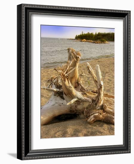 Driftwood-Tony Craddock-Framed Photographic Print