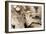 Driftwood-Matthew Oldfield-Framed Photographic Print