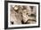 Driftwood-Matthew Oldfield-Framed Photographic Print