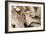 Driftwood-Matthew Oldfield-Framed Photographic Print