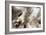 Driftwood-Peter Scoones-Framed Photographic Print