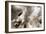 Driftwood-Peter Scoones-Framed Photographic Print