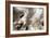 Driftwood-Peter Scoones-Framed Photographic Print