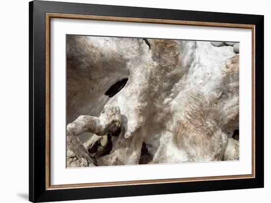 Driftwood-Peter Scoones-Framed Photographic Print