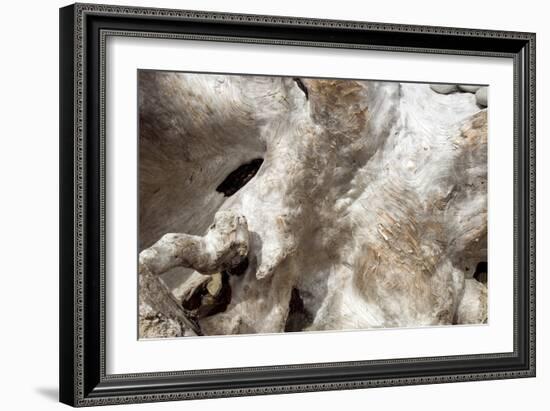 Driftwood-Peter Scoones-Framed Photographic Print