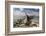 Driftwood-Aaron Matheson-Framed Photographic Print