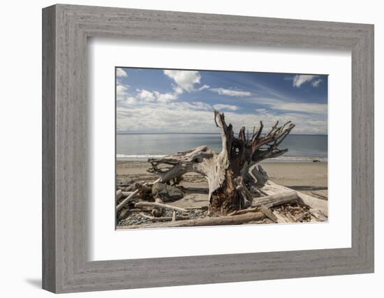 Driftwood-Aaron Matheson-Framed Photographic Print