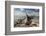 Driftwood-Aaron Matheson-Framed Photographic Print