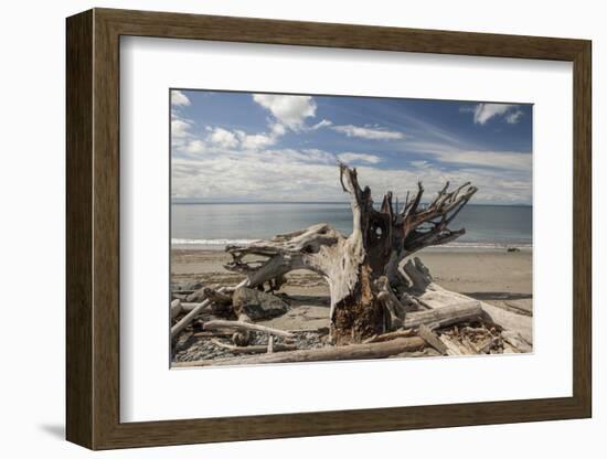 Driftwood-Aaron Matheson-Framed Photographic Print