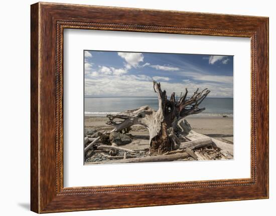 Driftwood-Aaron Matheson-Framed Photographic Print