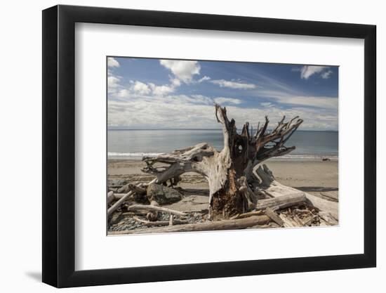 Driftwood-Aaron Matheson-Framed Photographic Print